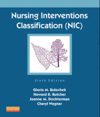 Image of Nursing Interventions Classification (NIC)